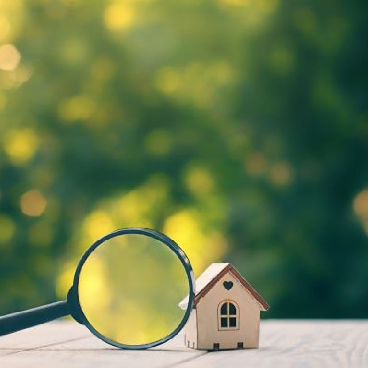 Should I get a property survey when I buy a house?